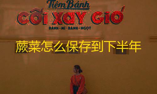 三角洲行动加速插件蕨菜怎么保存到下半年